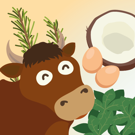 Beef Recipe