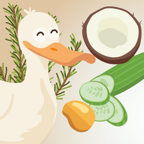 Duck Recipe