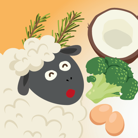 Lamb Recipe