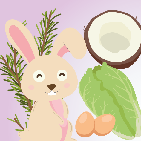 Rabbit Recipe